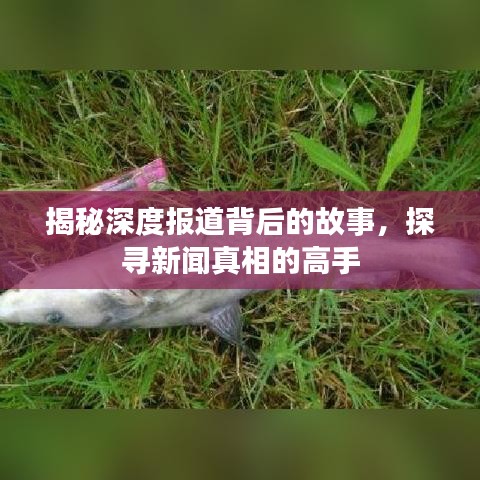 揭秘深度報道背后的故事,探尋新聞真相的高手