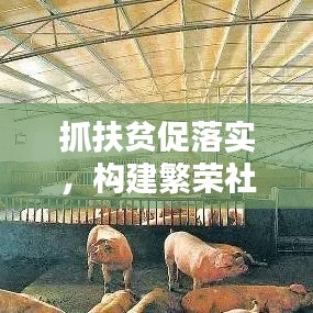 抓扶貧促落實(shí),構(gòu)建繁榮社會的關(guān)鍵所在