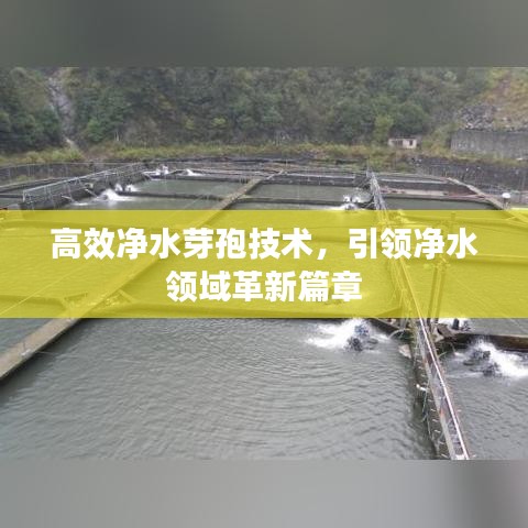 高效凈水芽孢技術(shù)，引領(lǐng)凈水領(lǐng)域革新篇章