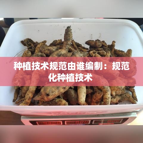 種植技術規范由誰編制:規范化種植技術