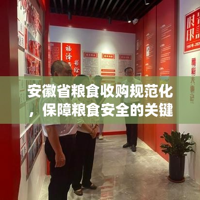 安徽省糧食收購規(guī)范化,保障糧食安全的關(guān)鍵行動