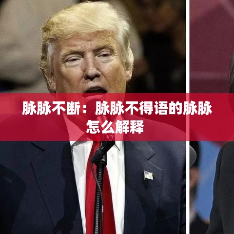 脈脈不斷:脈脈不得語的脈脈怎么解釋