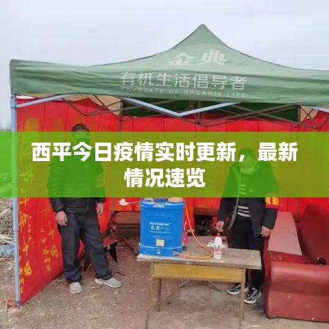 西平今日疫情實時更新，最新情況速覽