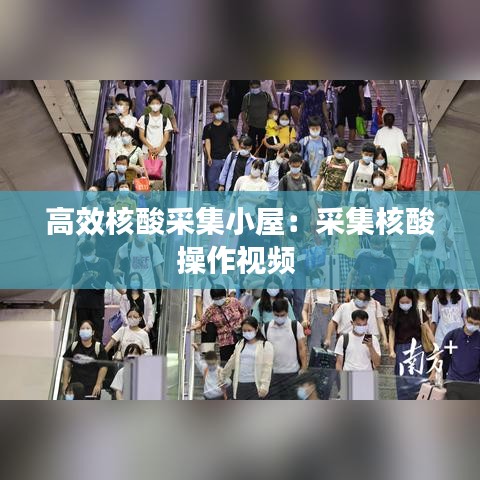 高效核酸采集小屋:采集核酸操作視頻