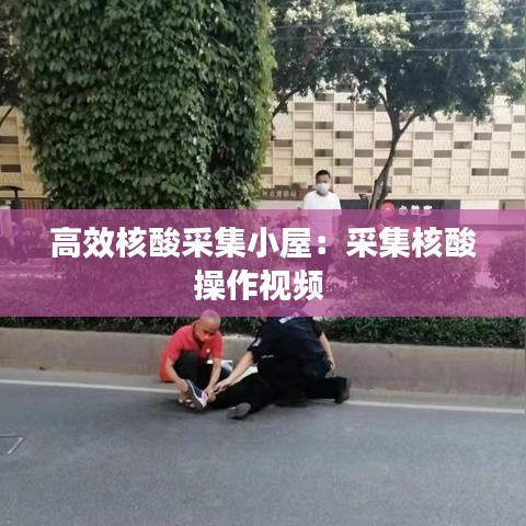 高效核酸采集小屋:采集核酸操作視頻