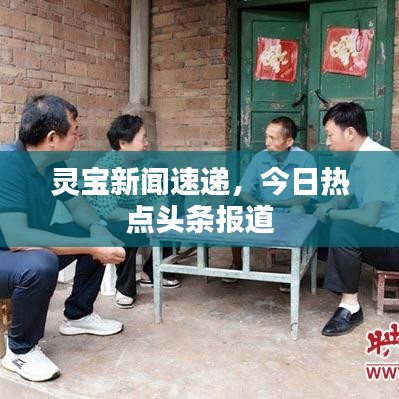 靈寶新聞速遞，今日熱點頭條報道
