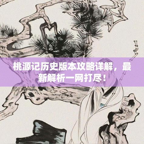 桃源記歷史版本攻略詳解,最新解析一網(wǎng)打盡!