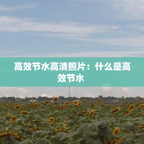高效節水高清照片:什么是高效節水