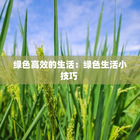 綠色高效的生活:綠色生活小技巧