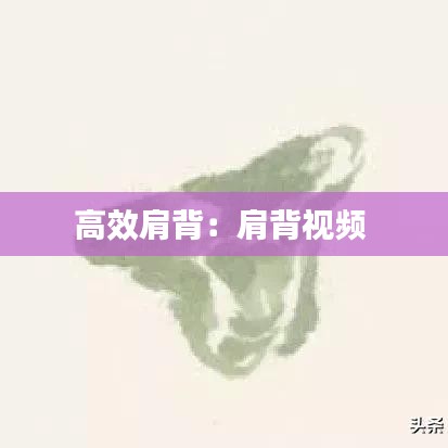 高效肩背:肩背視頻
