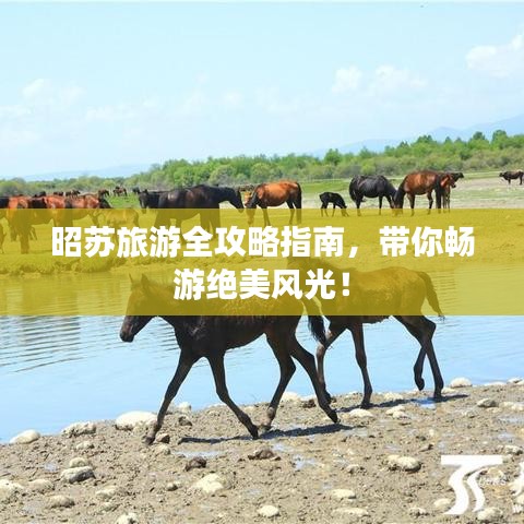 昭蘇旅游全攻略指南,帶你暢游絕美風光!