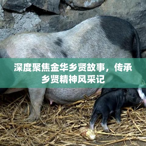 深度聚焦金華鄉(xiāng)賢故事,傳承鄉(xiāng)賢精神風(fēng)采記