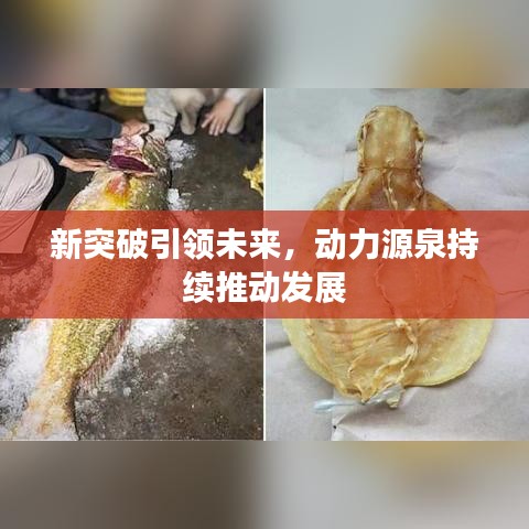 新突破引領未來,動力源泉持續推動發展