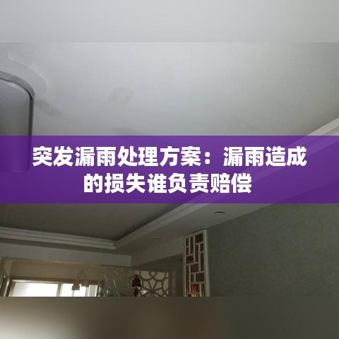 突發漏雨處理方案:漏雨造成的損失誰負責賠償