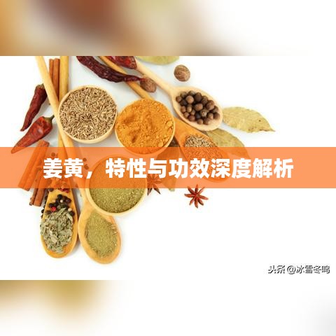 姜黃,特性與功效深度解析