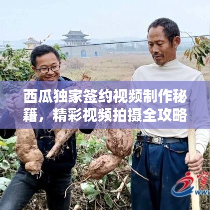 走馬章臺 第3頁