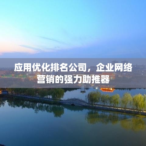 應用優化排名公司,企業網絡營銷的強力助推器