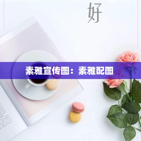 素雅宣傳圖:素雅配圖