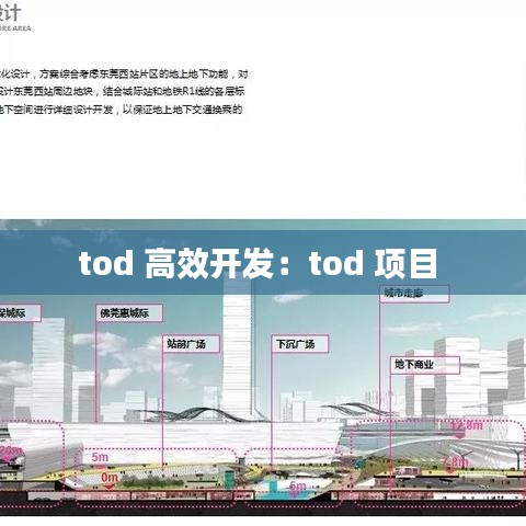tod 高效開發:tod 項目