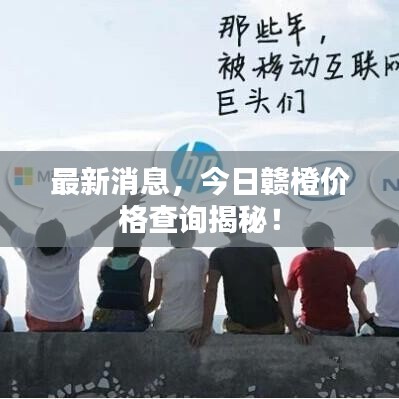 最新消息,今日贛橙價(jià)格查詢揭秘!