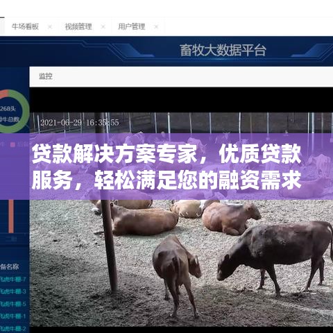 貸款解決方案專家，優(yōu)質(zhì)貸款服務(wù)，輕松滿足您的融資需求！