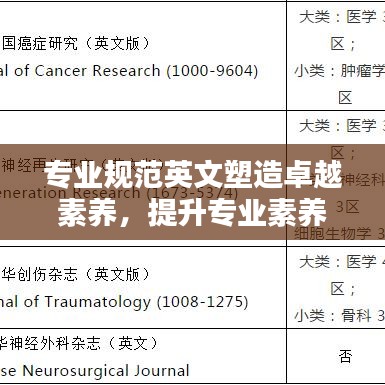 專業規范英文塑造卓越素養,提升專業素養的關鍵之道