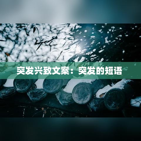突發興致文案:突發的短語