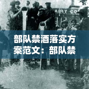 部隊(duì)禁酒落實(shí)方案范文:部隊(duì)禁酒令專題教育