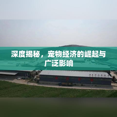 深度揭秘,寵物經濟的崛起與廣泛影響