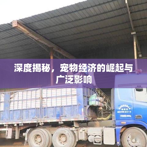 深度揭秘,寵物經濟的崛起與廣泛影響