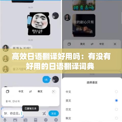 高效日語翻譯好用嗎：有沒有好用的日語翻譯詞典 