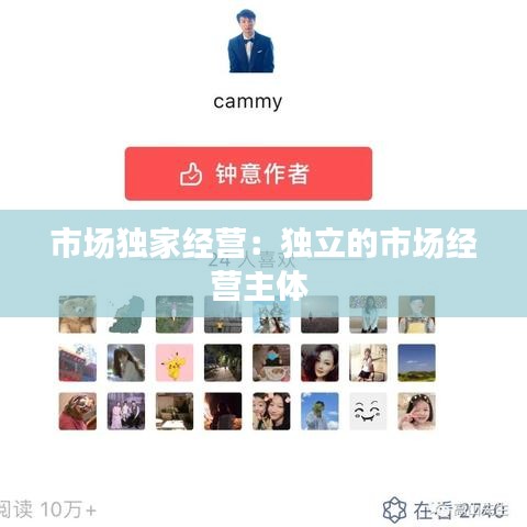 市場(chǎng)獨(dú)家經(jīng)營(yíng):獨(dú)立的市場(chǎng)經(jīng)營(yíng)主體