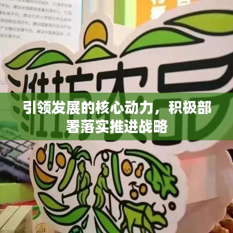 引領發展的核心動力,積極部署落實推進戰略