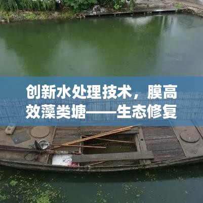 創(chuàng)新水處理技術(shù),膜高效藻類塘——生態(tài)修復(fù)的理想方案