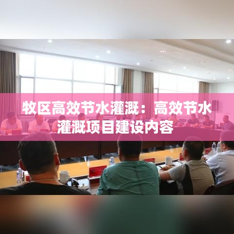 牧區高效節水灌溉:高效節水灌溉項目建設內容