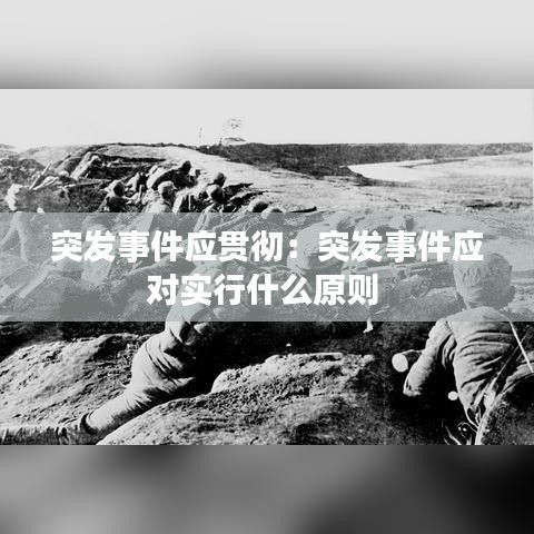 突發事件應貫徹：突發事件應對實行什么原則 