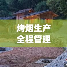 烤煙生產(chǎn)全程管理,從理論到實踐的無縫對接