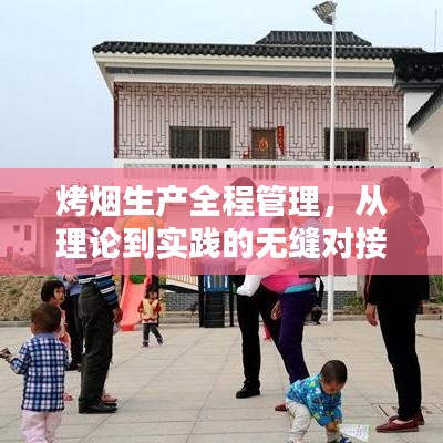 烤煙生產(chǎn)全程管理,從理論到實踐的無縫對接