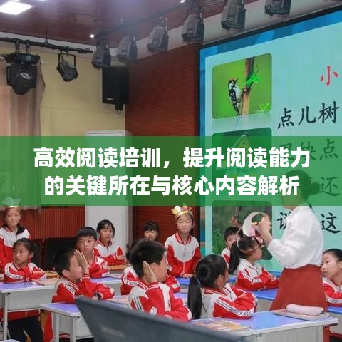 高效閱讀培訓(xùn),提升閱讀能力的關(guān)鍵所在與核心內(nèi)容解析