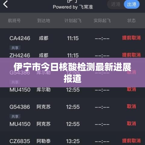伊寧市今日核酸檢測最新進展報道