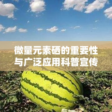 微量元素硒的重要性與廣泛應用科普宣傳啟動!