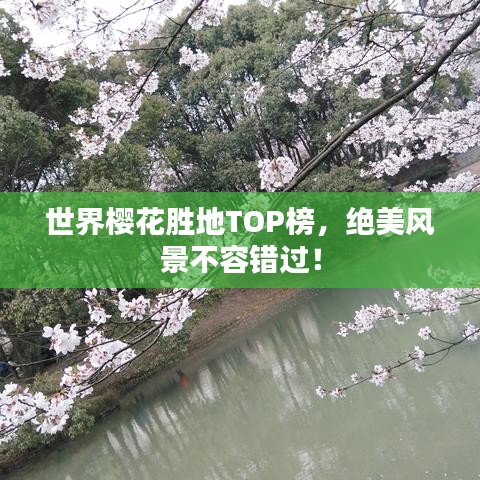 世界櫻花勝地TOP榜,絕美風景不容錯過!