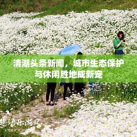 清湖頭條新聞，城市生態(tài)保護與休閑勝地成新寵