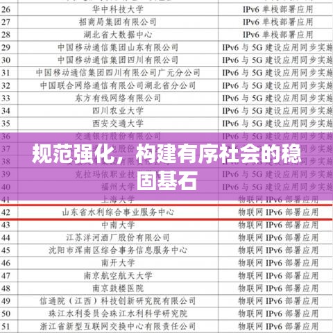 規范強化,構建有序社會的穩固基石