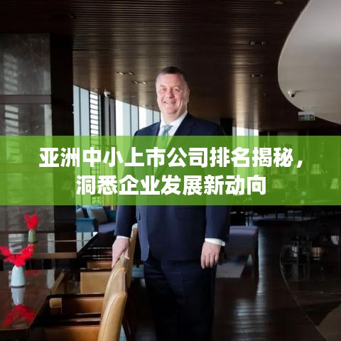 亞洲中小上市公司排名揭秘，洞悉企業發展新動向