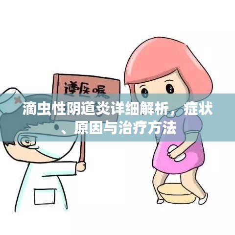 滴蟲性陰道炎詳細解析,癥狀、原因與治療方法