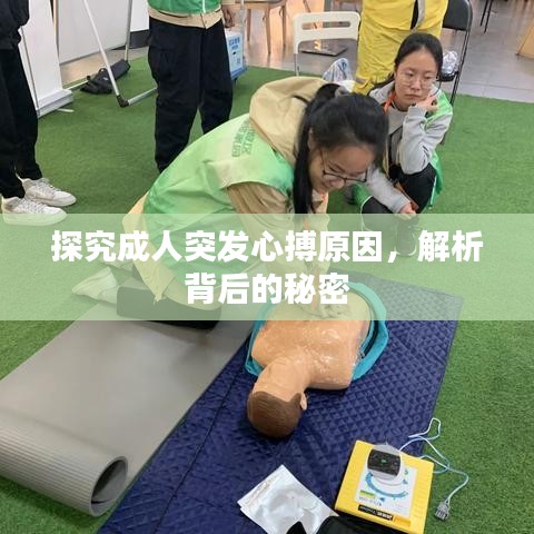 探究成人突發(fā)心搏原因,解析背后的秘密