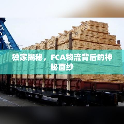 獨(dú)家揭秘，F(xiàn)CA物流背后的神秘面紗