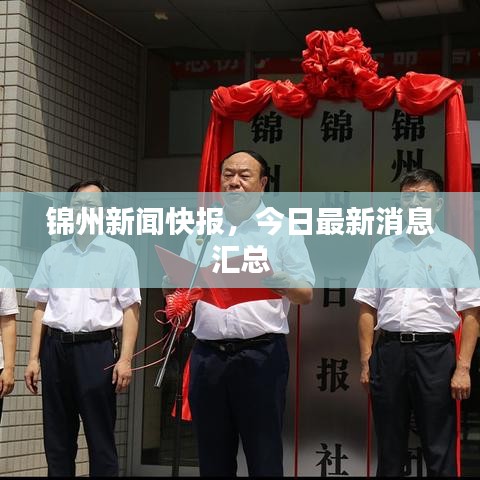 錦州新聞快報,今日最新消息匯總