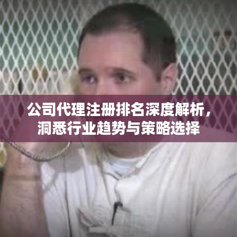 公司代理注冊排名深度解析,洞悉行業趨勢與策略選擇